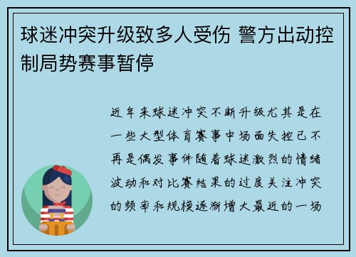 球迷冲突升级致多人受伤 警方出动控制局势赛事暂停