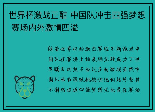 世界杯激战正酣 中国队冲击四强梦想 赛场内外激情四溢