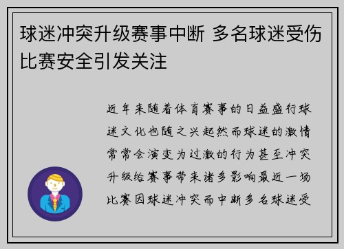 球迷冲突升级赛事中断 多名球迷受伤比赛安全引发关注
